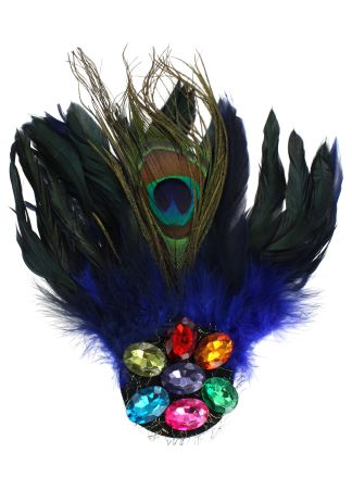 Broche met stenen en blauwe veren