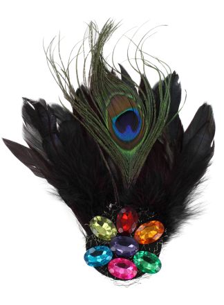 Broche met stenen en zwarte veren