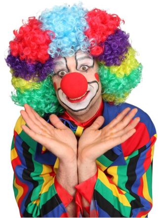 Luxe clownspruik multikleur
