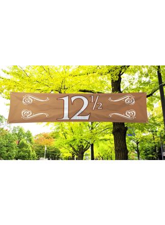 Banier jubileum 12,5 jaar spandoek