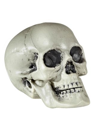 Halloween doodshoofd pvc 21cm.