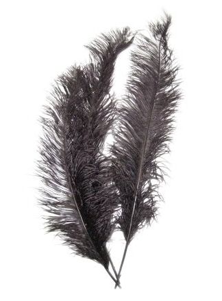 Struisveer 50cm. groot zwart