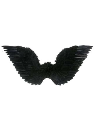 Zwarte veren vleugels 86x31cm.
