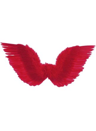 Rode veren vleugels 86x31cm.