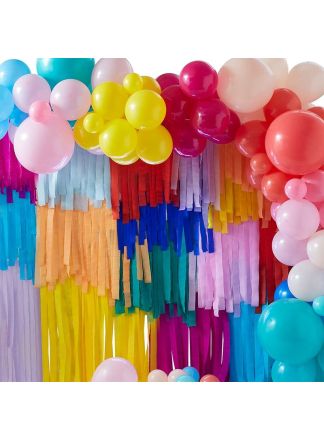 Balloon & backdrop kit multicolour