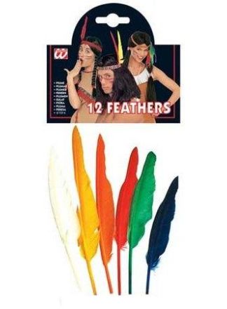 Indianenveren diverse kleuren 12stuks