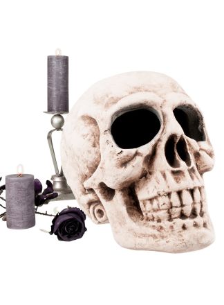 Doodshoofd Masterbrain 35x35x47cm.