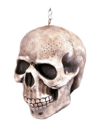 Doodskop aan ketting 20cm.