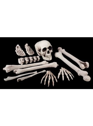 Zak met 12 beenderen plastic