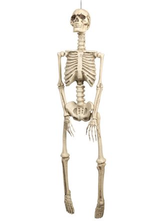Halloween decoratie Skelet 92cm.