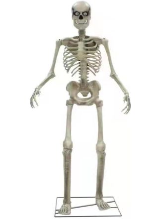 Skeleton Halloween Prop