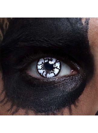 Kleurlenzen vogelverschikker (40140)