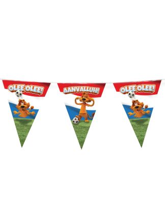 Holland Vlaggenlijn Loeki 10mtr.