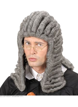 Grijze Rechter pruik met krullen