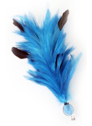 Verenpluim turquase 30cm. speld en clip