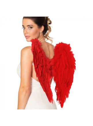 Engelenvleugels rode veren 50x50cm.