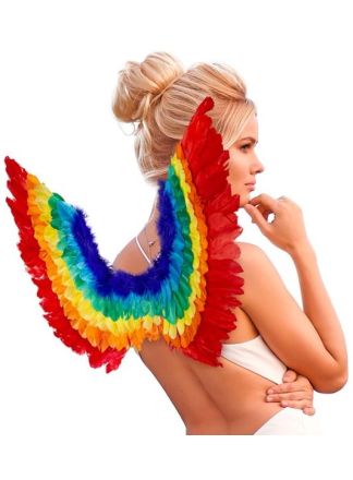 Regenboog veren vleugels