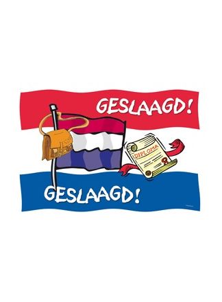 Gevel vlag Geslaagd cartoon 150x90cm.