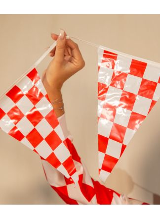 Vlaggenlijn Brabant  plastic 6 mtr.