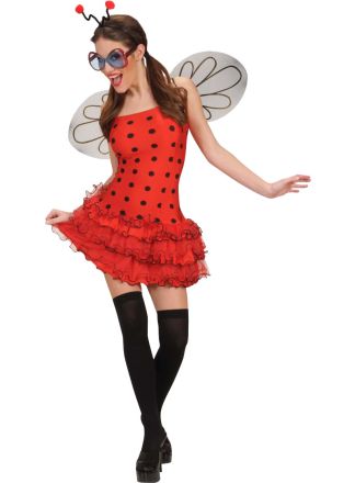 Lieveheersbeest jurkje 3dlg.