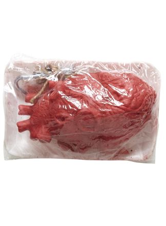 Packaged bloody heart 16cm.