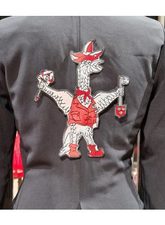 Strijk rugembleem Tullepetaon 25cm .