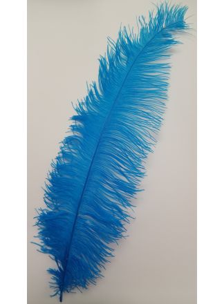 Struisveer groot turquoise