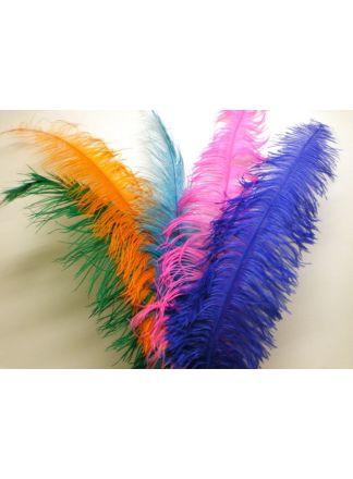 Struisveer groot darkpink