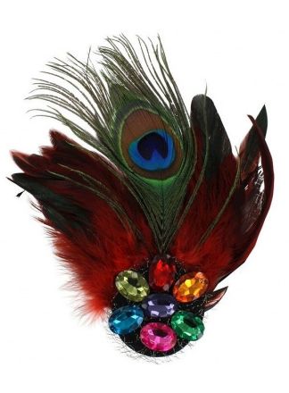 Broche met stenen en rode veren