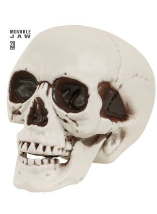 Doodskop skull plastic 28cm.