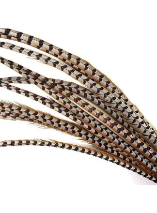 Fazantveer konings  87/100cm.