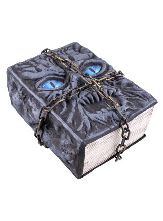 Magisch boek geluid/beweging 21x16x9cm.