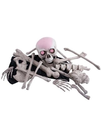 18 botten en schedel met licht