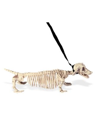 Halloween skelet dashond 55cm.