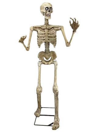 Animated Halloween pop SKELET 150cm.