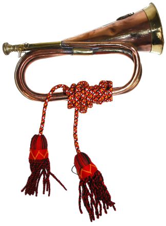 Luxe Originele hoorn 30cm.