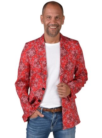 Carnavals Colbert Boerenzakdoek motief