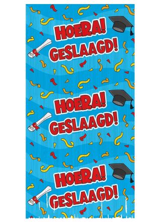 Party Curtain Cartoon geslaagd (200x100cm.)