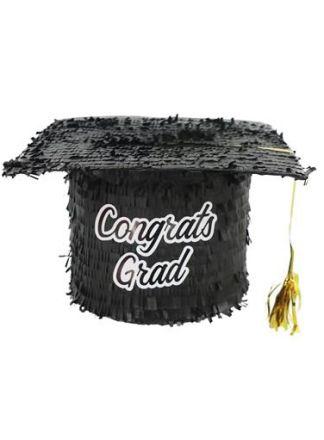 Pinata Professor hoed (geslaagd)