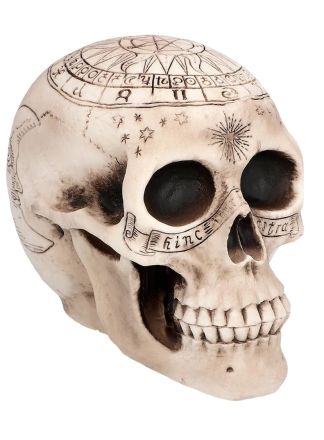 Halloween Schedel Astronomy (14x20x14cm.)
