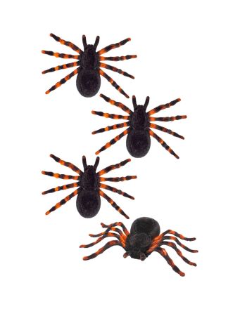 Set van 4 Vogelspinnen (7cm.)