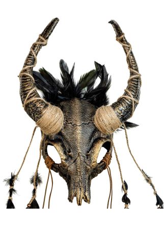 Shaman buffel schedel met veren