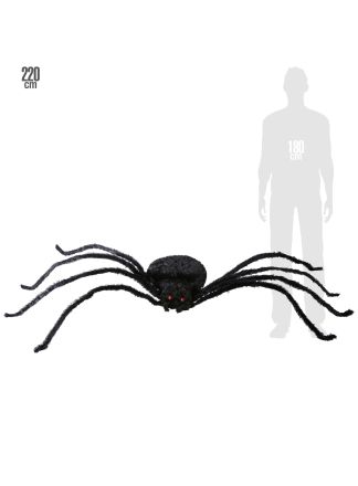 Super grote spin vormbaar 220cm.